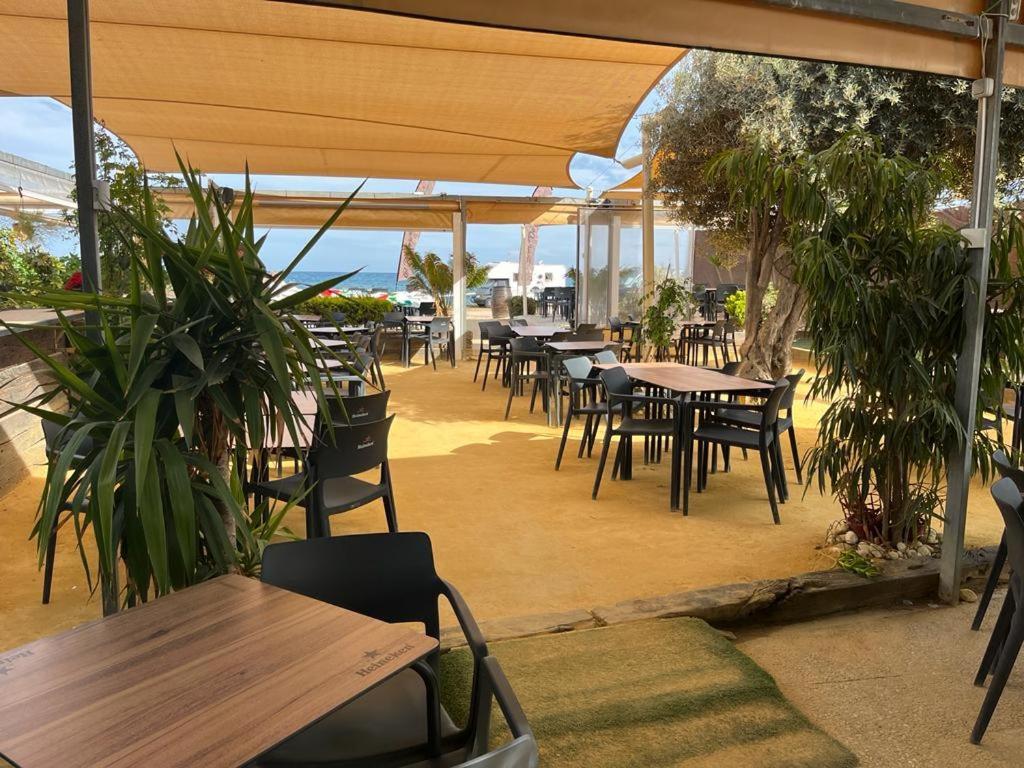 Beach Apartment Amalia 托雷维耶哈 外观 照片